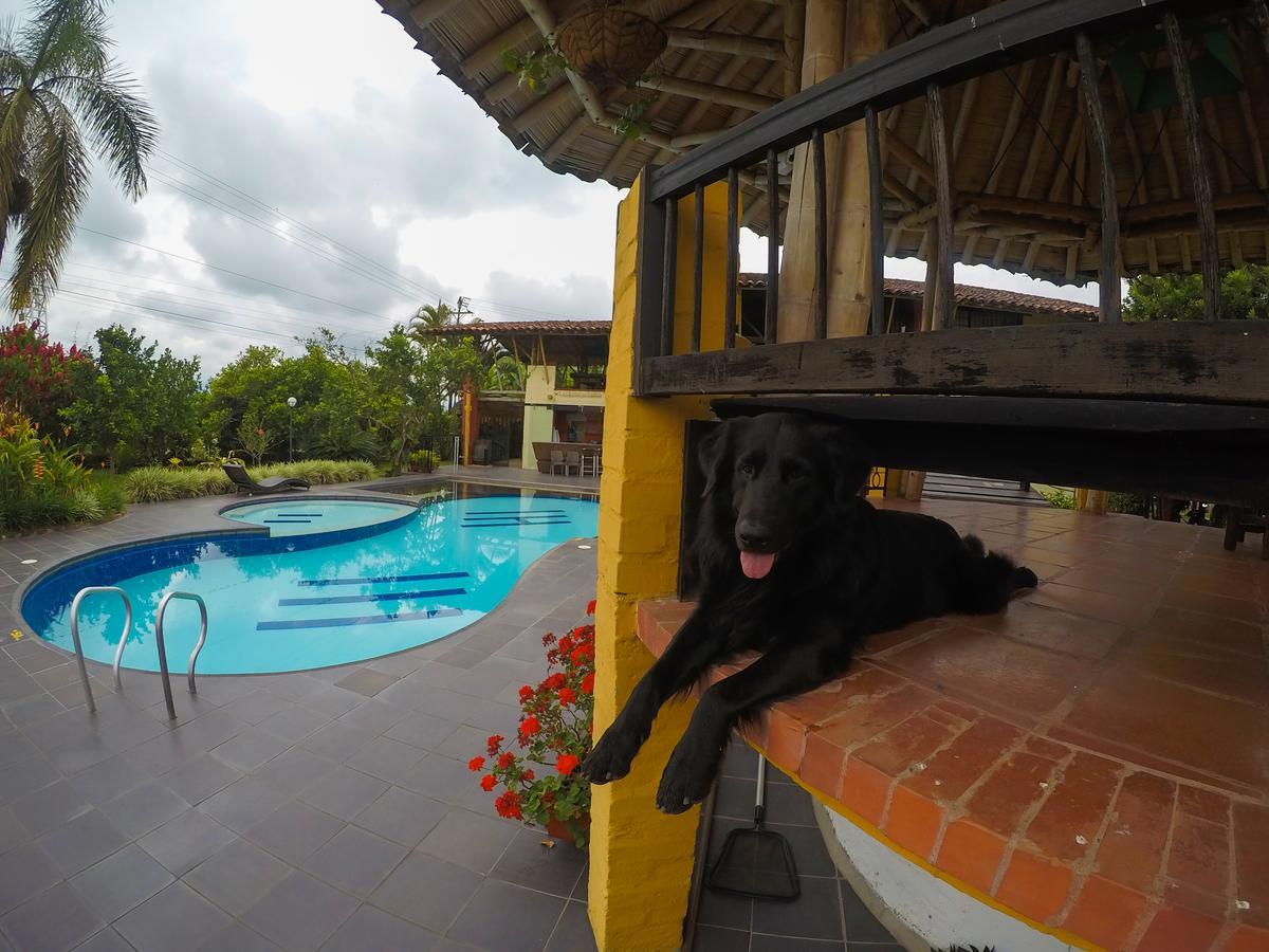 Finca Hotel La Quinta Porra Armenia  Eksteriør bilde
